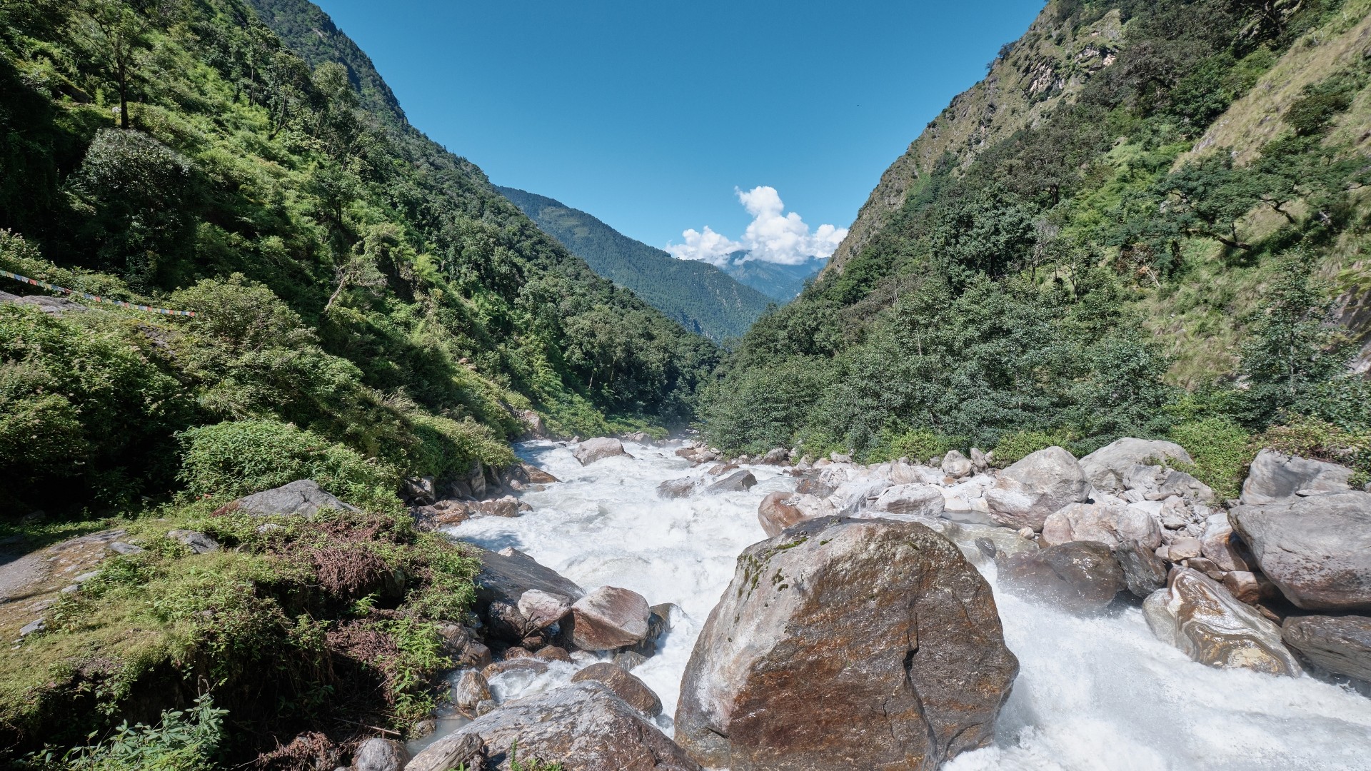  Langtang Valley 